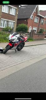 Honda Cbr 300 hrc, Motoren, Particulier