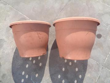 bloempot tuin beschikbaar voor biedingen