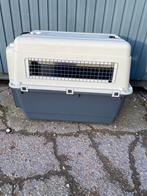 Banc de transport pour chiens, Enlèvement, Comme neuf