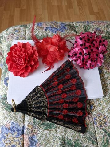 Différents déguisements pour carnaval beschikbaar voor biedingen