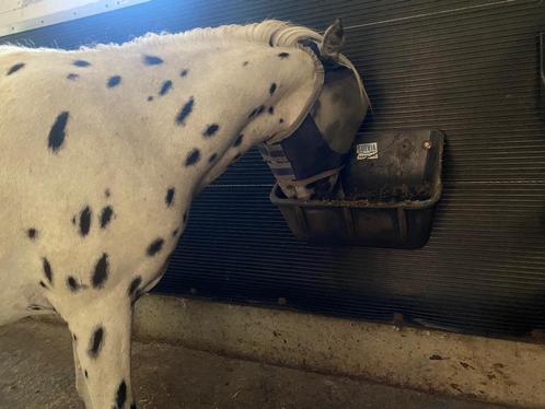 Luxe plek voor shetlander, Dieren en Toebehoren, Stalling en Weidegang, Stalling, Weidegang, 1 paard of pony