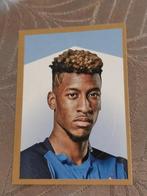 Panini / Sticker / Kingsley Coman / France FFF, Verzamelen, Verzenden, Nieuw, Poster, Plaatje of Sticker