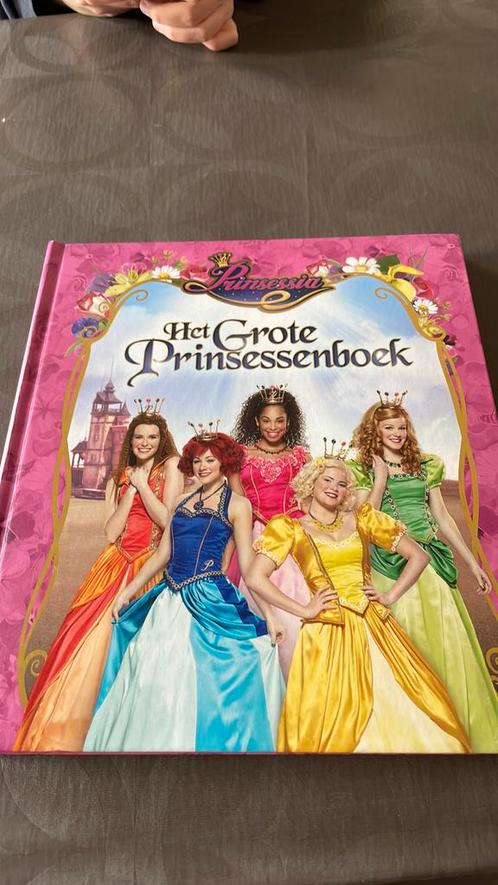 Gert Verhulst - Prinsessia, Boeken, Kinderboeken | Jeugd | onder 10 jaar, Zo goed als nieuw, Ophalen