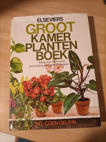 Groot kamerplanten boek  beschikbaar voor biedingen