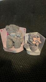 Setje you special  me to you beertjes, Verzamelen, Ophalen