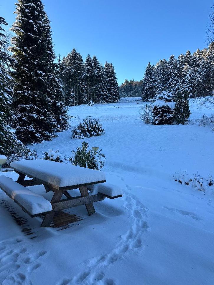 Chalet 4*, Hautes-Vosges, 12 bedden, natuurski, Immo, Huizen te huur, Vrijstaande woning, Direct bij eigenaar