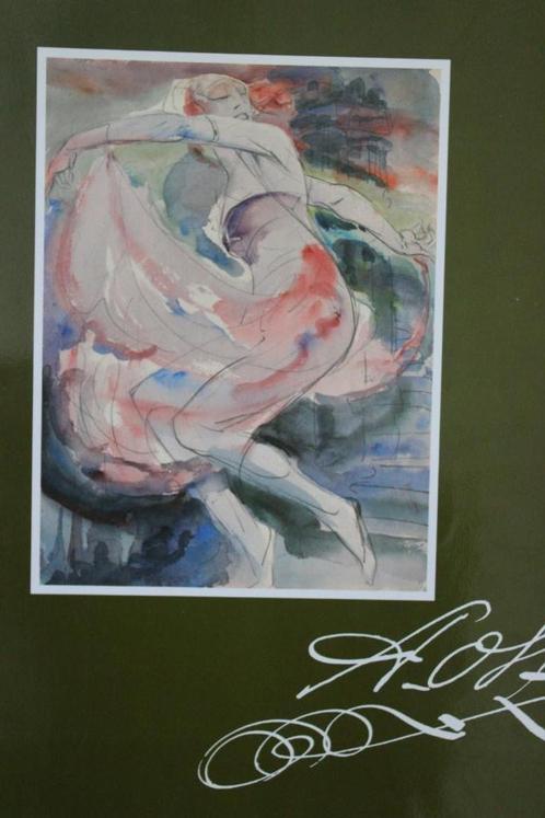 Maes  en Raeymaekers ALFRED OST schilderkunst tekenaar, Boeken, Kunst en Cultuur | Beeldend, Zo goed als nieuw, Schilder- en Tekenkunst