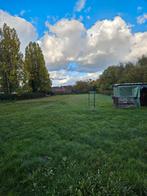 Weide met box voor paarden of andere dieren, Dieren en Toebehoren