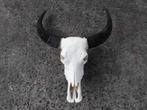 Waterbuffel western decoratie  skull wand USA mancave kado, Ophalen of Verzenden, Gebruikt