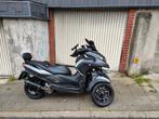 scooter, Motos, 1 cylindre, 12 à 35 kW, Scooter, Particulier