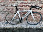 Full carbon triathlon fiets met campagnolo chorus, Carbon, Ophalen of Verzenden, Zo goed als nieuw