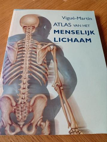 Atlas van het menselijk lichaam beschikbaar voor biedingen