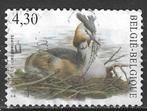 Belgie 2006 - Yvert 3518 /OBP 3538 - Buzin - Fuut (ST), Postzegels en Munten, Postzegels | Europa | België, Verzenden, Gestempeld