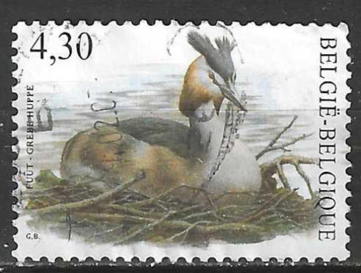 Belgie 2006 - Yvert 3518 /OBP 3538 - Buzin - Fuut (ST), Postzegels en Munten, Postzegels | Europa | België, Voertuigen, Gestempeld