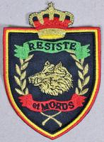 Chasseurs ardennais - patch (1), Emblème ou Badge, Armée de terre, Envoi
