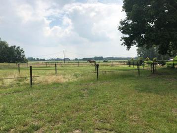 Weide met stal te huur beschikbaar voor biedingen