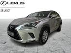 Lexus NX 300H 2.5 HYB BUSINESS PLUS, Auto's, Automaat, 114 kW, 155 pk, 5 deurs