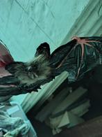 creepy paar vleermuizen als deco halloween, Ophalen of Verzenden, Nieuw, Versiering