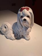 Keramiek hondje, Enlèvement