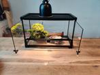 Terrarium en benodigdheden. Afmetingen 51x33x26 cm., Dieren en Toebehoren, Ophalen