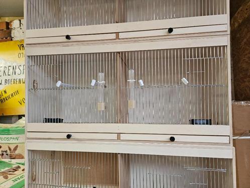 nieuwe houten kweekkooien, Dieren en Toebehoren, Vogels | Hokken en Kooien, Nieuw, Hout, Ophalen