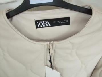ZARA NIEUW BEIGE LEDEREN JASJE XL, Kleding | Dames, Maat 46/48 (XL) of groter, Nieuw, Ophalen of Verzenden, Zara