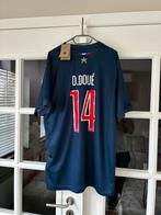Maillot PSG Champions League 2/25 — Doué #14 — 4XL — Nouveau, Sports & Fitness, Football, Envoi, Neuf, Maillot