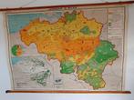 Vintage wandkaart: Landbouw van België, Antiek en Kunst, Ophalen