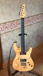 Très belle guitare Fretlight 500 et accessoires 250€, Enlèvement