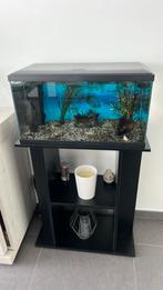 Aquarium 60L avec meuble et pompe ., Gebruikt