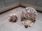 2 Leuke tuin-egels, Tuin en Terras, Ophalen of Verzenden, Nieuw, Hout