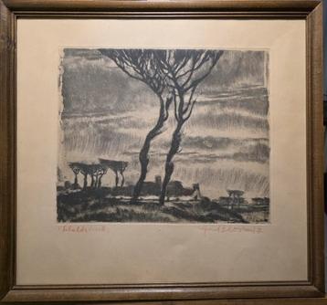 Alfons blomme beschikbaar voor biedingen