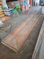 Tentoonstellingskooien 40cm, Enlèvement