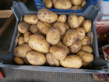 aardappelen beschikbaar voor biedingen