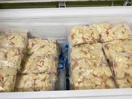 Diepvries eendagkuikens, Dieren en Toebehoren, Vogels | Overige Vogels