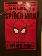 Poster Spiderman avec grande porte, Enlèvement ou Envoi, Rectangulaire vertical, Utilisé, Cinéma et TV