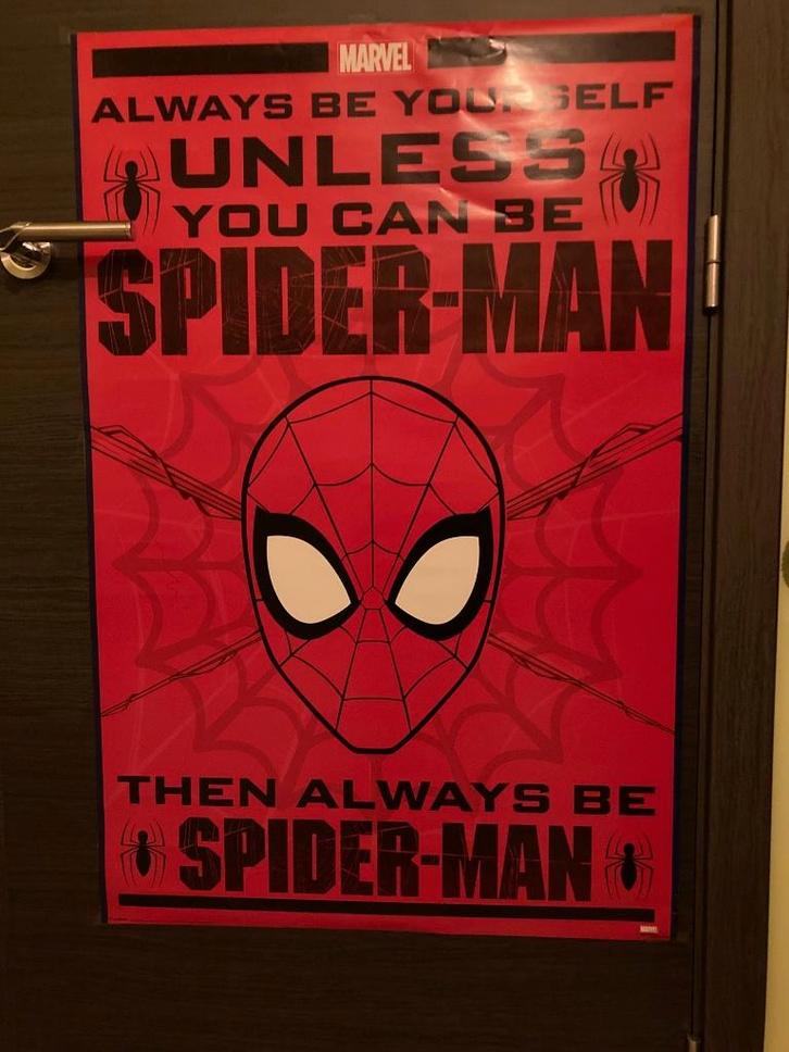 Poster Spiderman avec grande porte, Collections, Posters & Affiches, Utilisé, Cinéma et TV, Affiche ou Poster pour porte ou plus grand