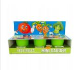 mini garden : tomaat-broccoli-wortel,nieuw!, Ophalen of Verzenden, Groenteplanten, Eenjarig