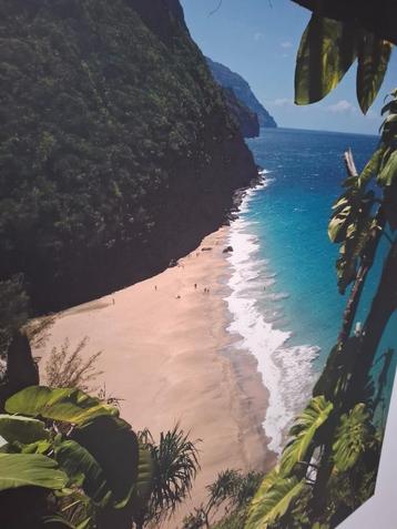 unieke canvas kauai hawaii napali coast beschikbaar voor biedingen