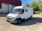 Mercedes Sprinter 313CDI maxi, 4 cilinders, Wit, Mercedes-Benz, 96 kW