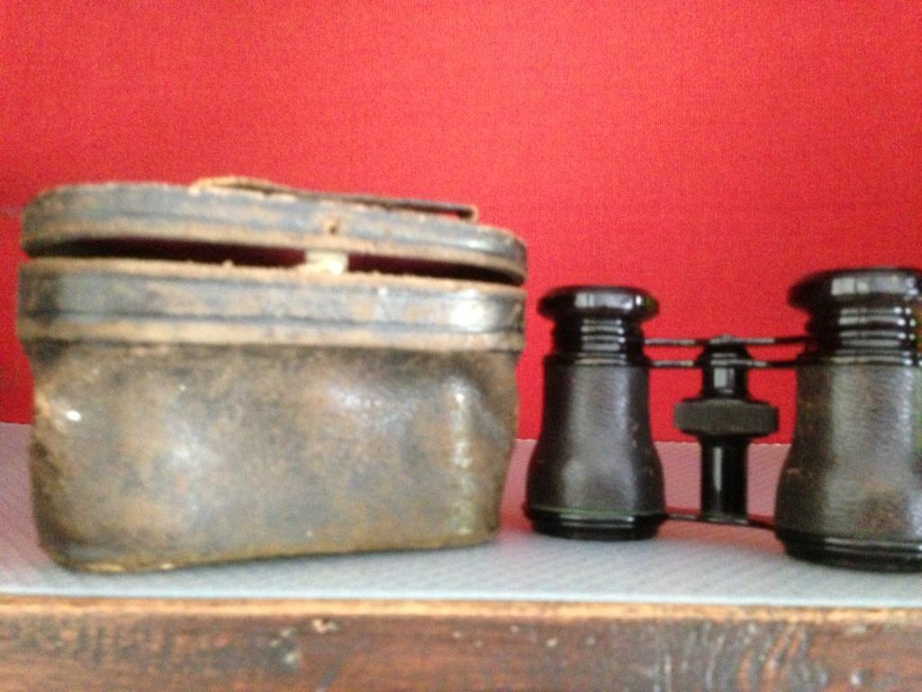 jumelles avec étui  2 modèles, Enlèvement ou Envoi, Utilisé, Autres types