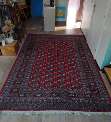 Handgeknoopt Afghaans Perzisch tapijt - 3,00 x 1,95 m beschikbaar voor biedingen