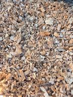 Machinaal knippen van knotwilgen, hagen, Tuin en Terras, Planten | Struiken en Hagen, Ophalen of Verzenden