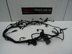 Kabelboom / Wire Harness Ducati Streetfighter 1098 / S 2009, Ophalen of Verzenden, Gebruikt