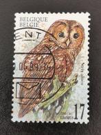 Belgie 1999 - vogels - uilen - Bosuil, Ophalen of Verzenden, Gestempeld