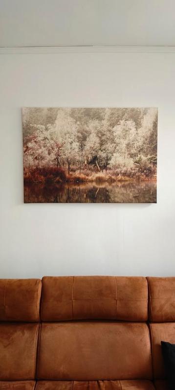 'Frozen lake' canvas print beschikbaar voor biedingen