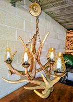 Lustre en bois de cerf., Enlèvement, Comme neuf