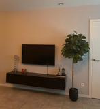 Plant, Tuin en Terras, Planten | Tuinplanten, Ophalen, Eenjarig, Overige soorten