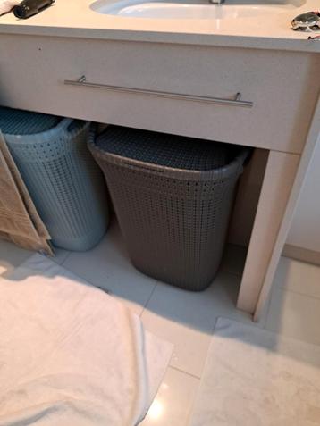 Wasmanden op te halen te Diest  beschikbaar voor biedingen