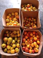 Zoete appels, bewaarappels, bewaarperen, kwee, alles bio, Ophalen